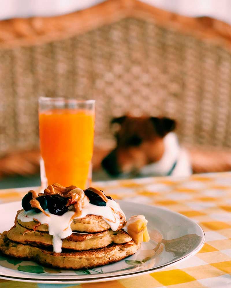breakfast-desayunos-buena-onda-zahora-van-camping-alquiler-vacacional-eco-lodging-camper-van