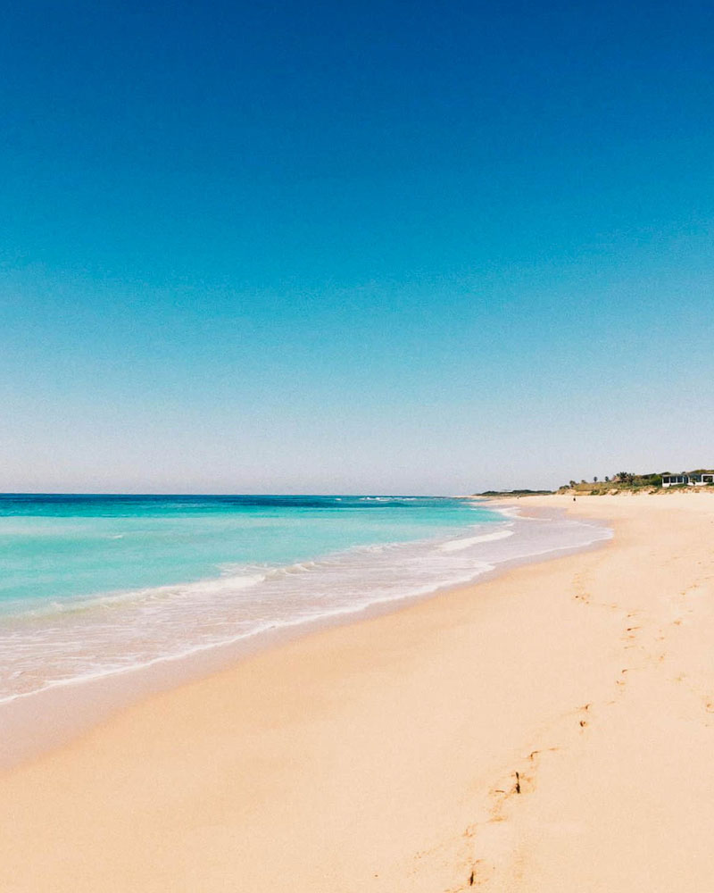 home-buena-onda-zahora-van-camping-alquiler-vacacional-eco-lodging-healthy-entorno